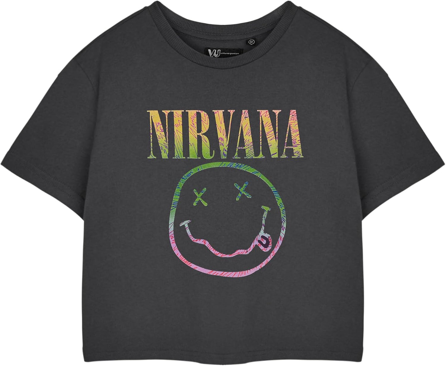 Rainbow Logo Womens Grey Cropped Short Sleeved T-Shirt