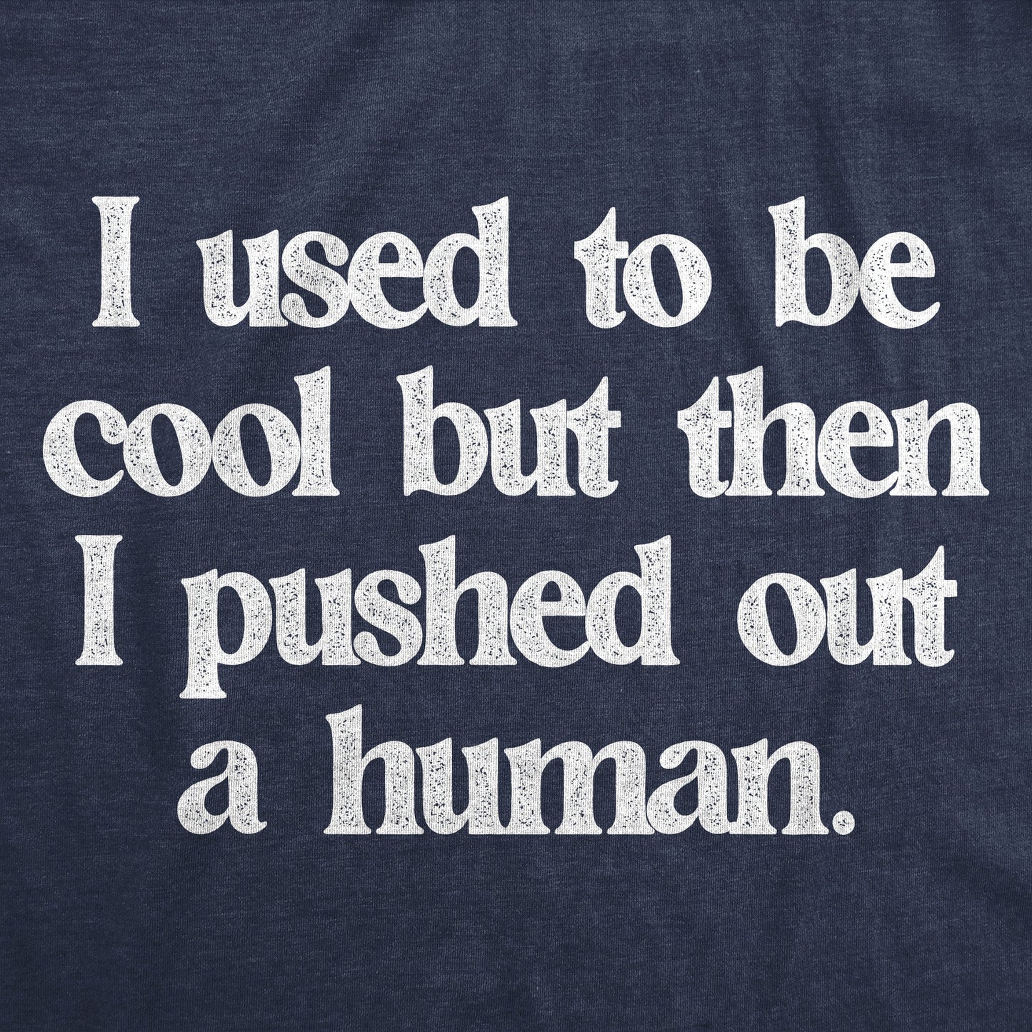 I Used To Be Cool But Then I Pushed Out A Human Women's T Shirt