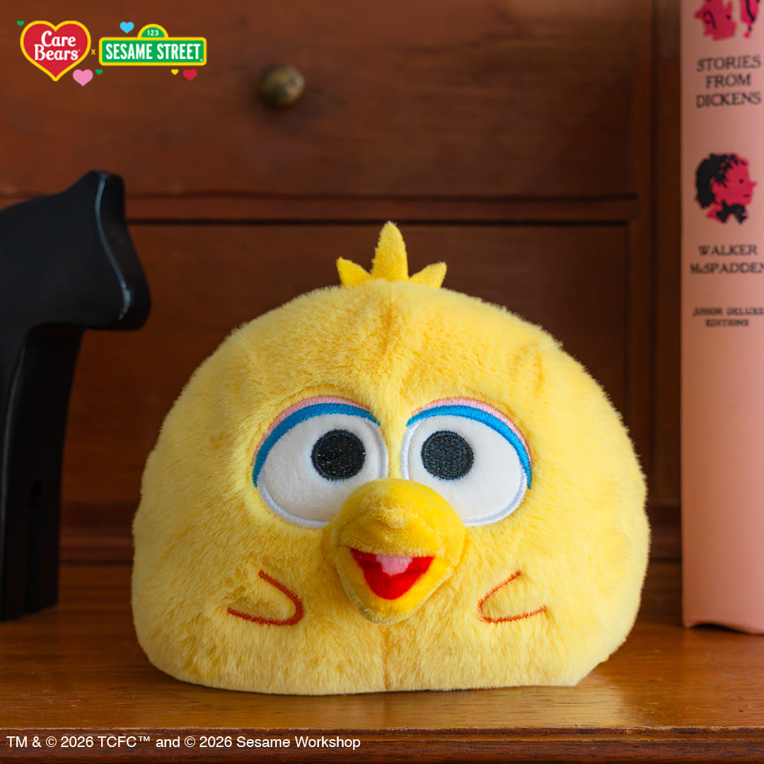 Funshine Bear & Big Bird 4" Reversible Plushie