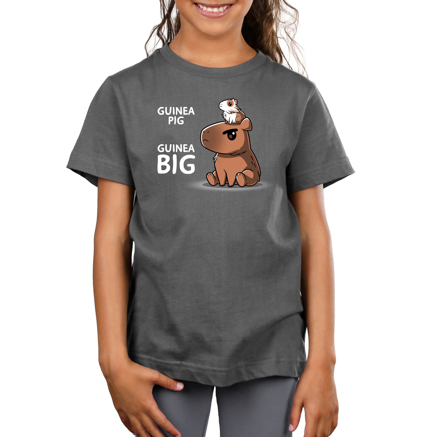 Guinea Pig Guinea Big