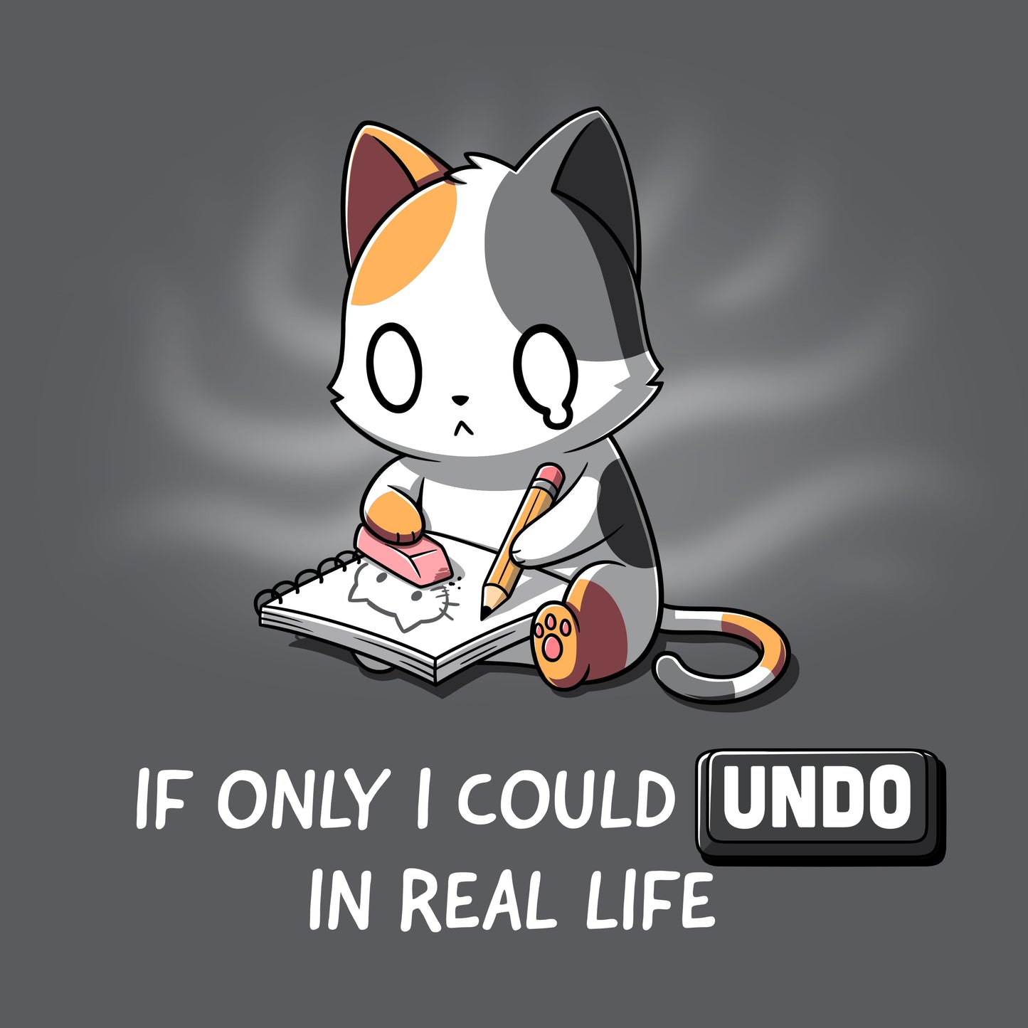 If Only I Could Undo in Real Life