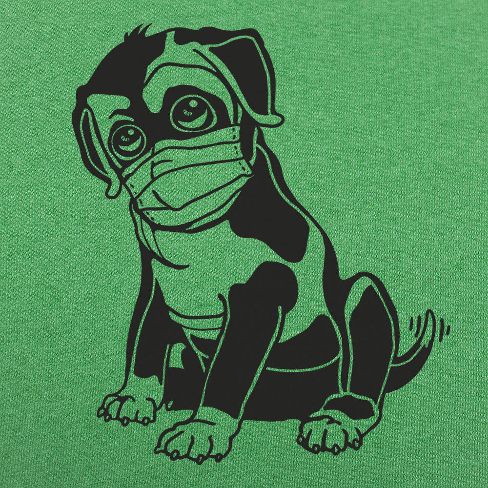 Quarantine Dog