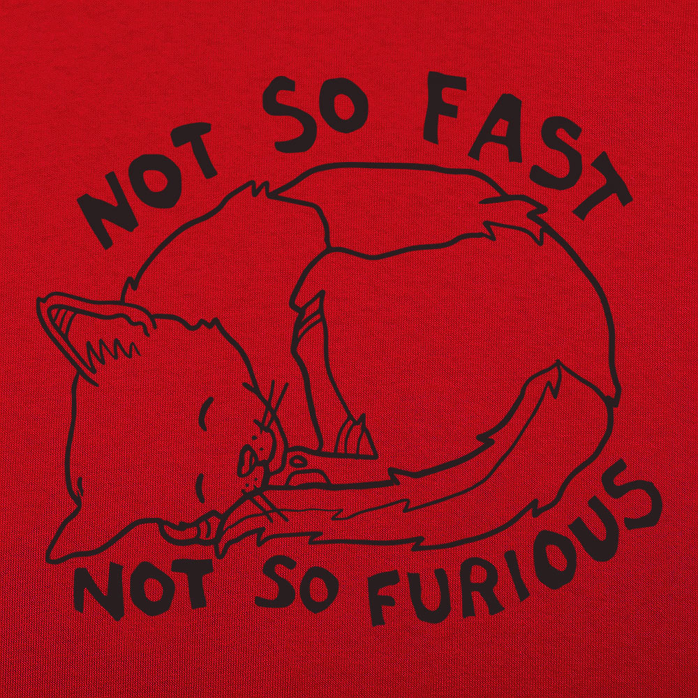 Not So Fast &amp Furious