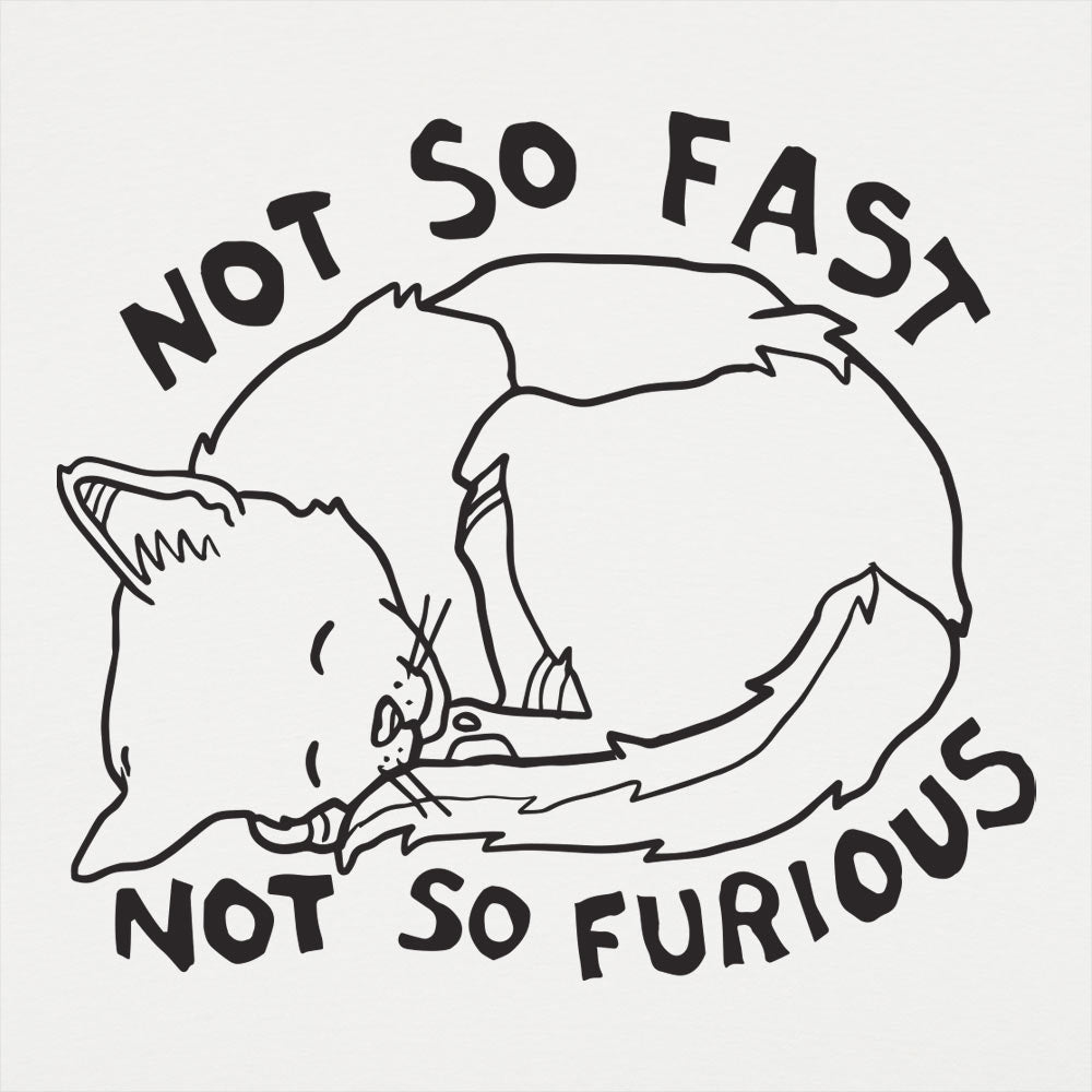 Not So Fast &amp Furious