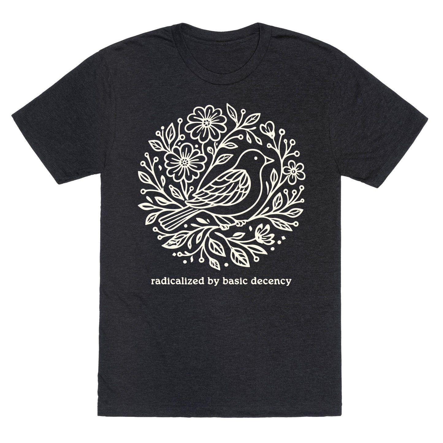 Radicalized By Basic Decency Unisex Triblend Tee