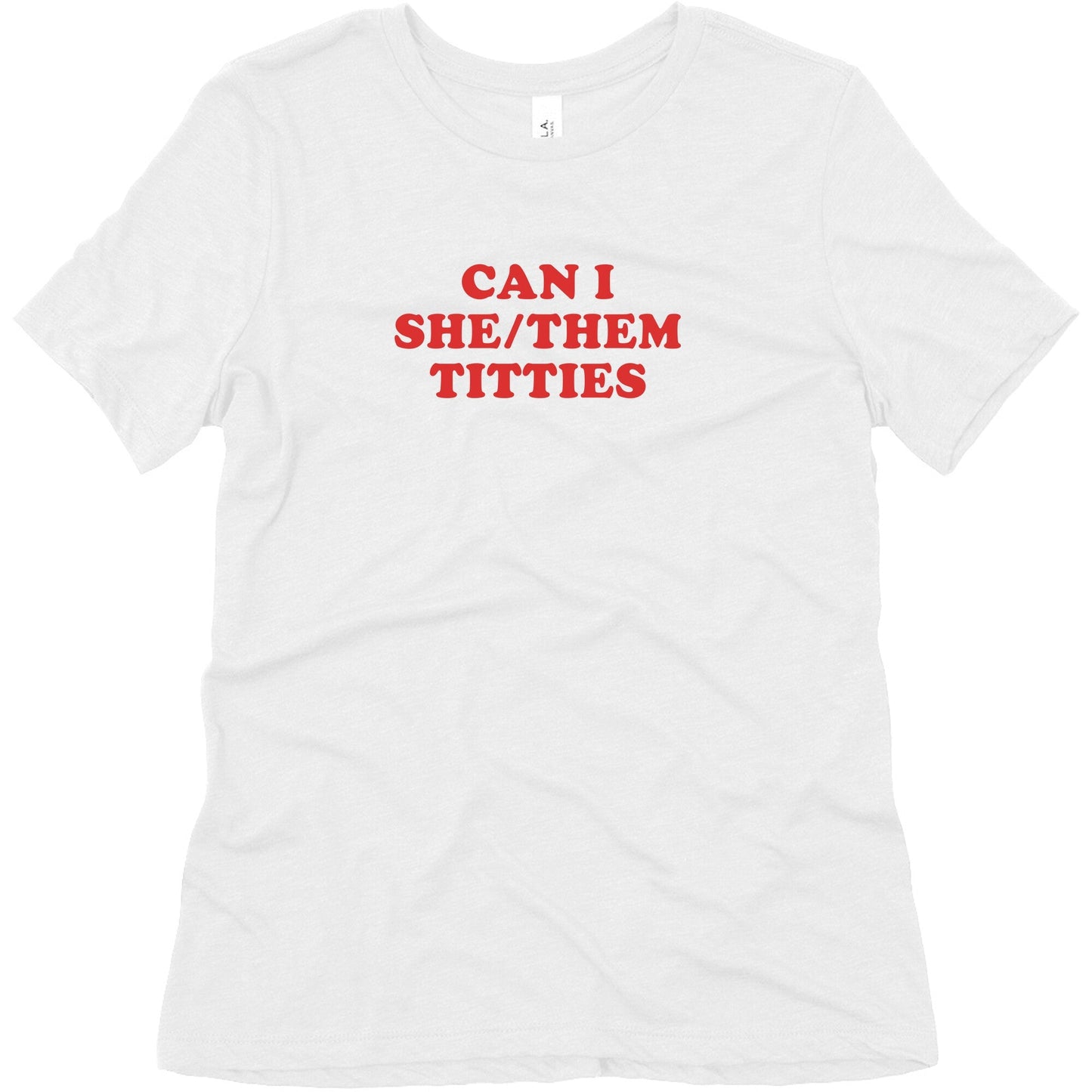 Can I She/Them Titties? Womens Relaxed Fit Triblend Tee