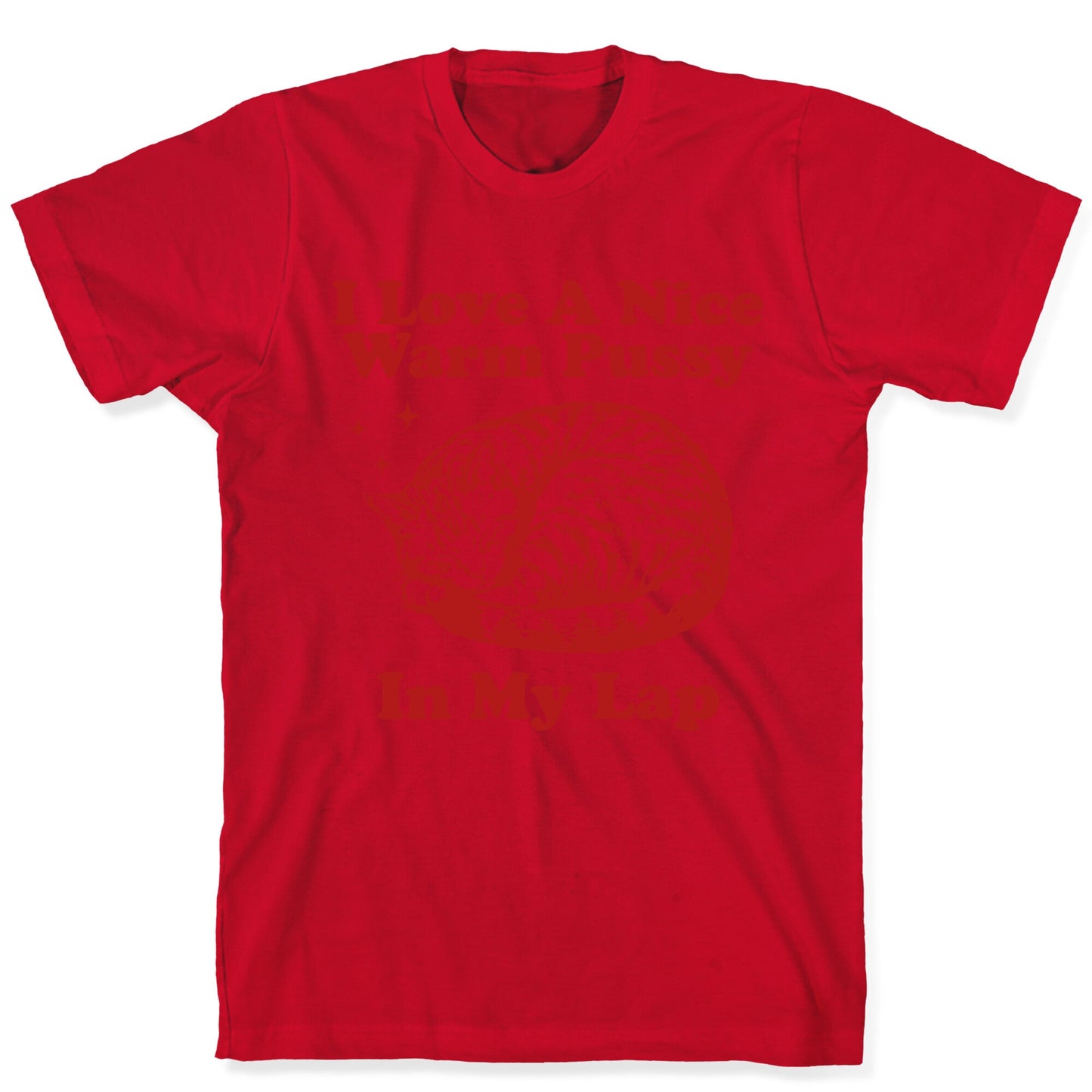I Love A Nice Warm Pussy In My Lap T-Shirt