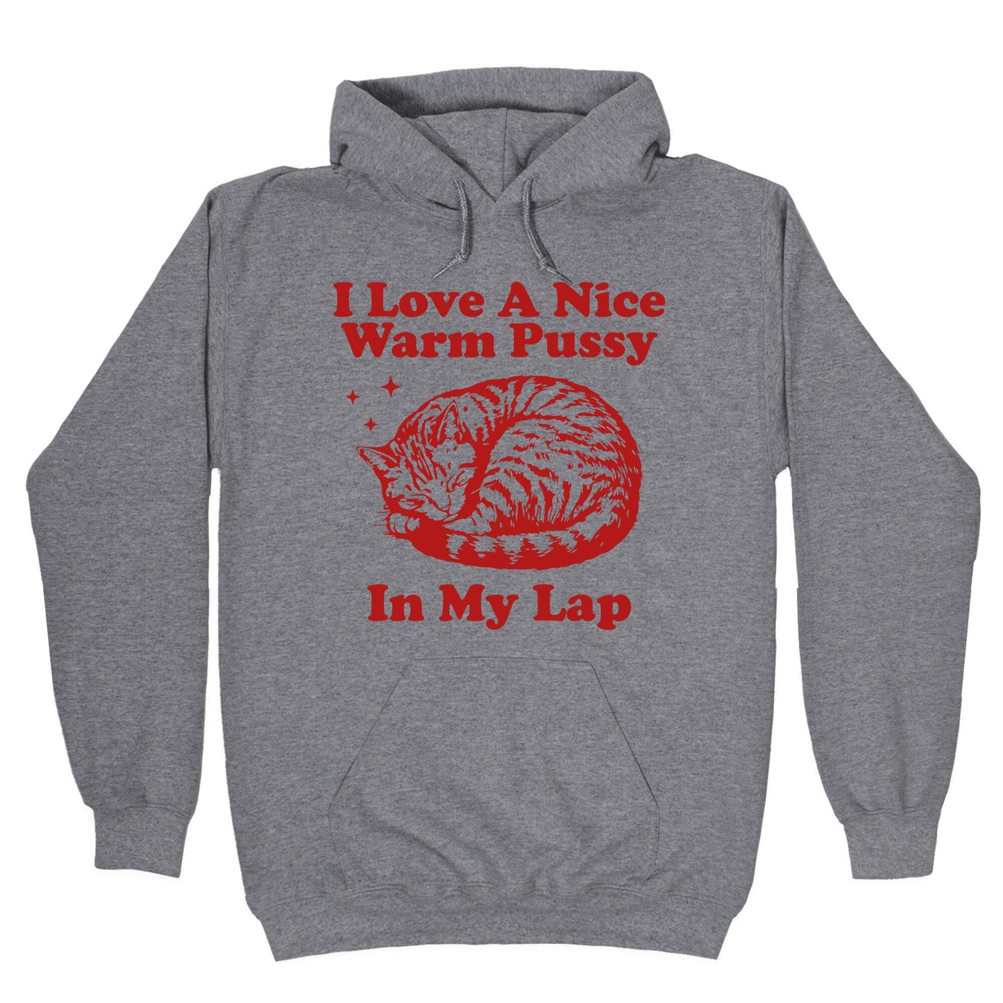I Love A Nice Warm Pussy In My Lap Hoodie