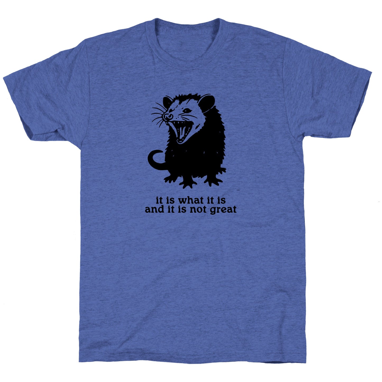 It Is What It Is Unisex Triblend Tee