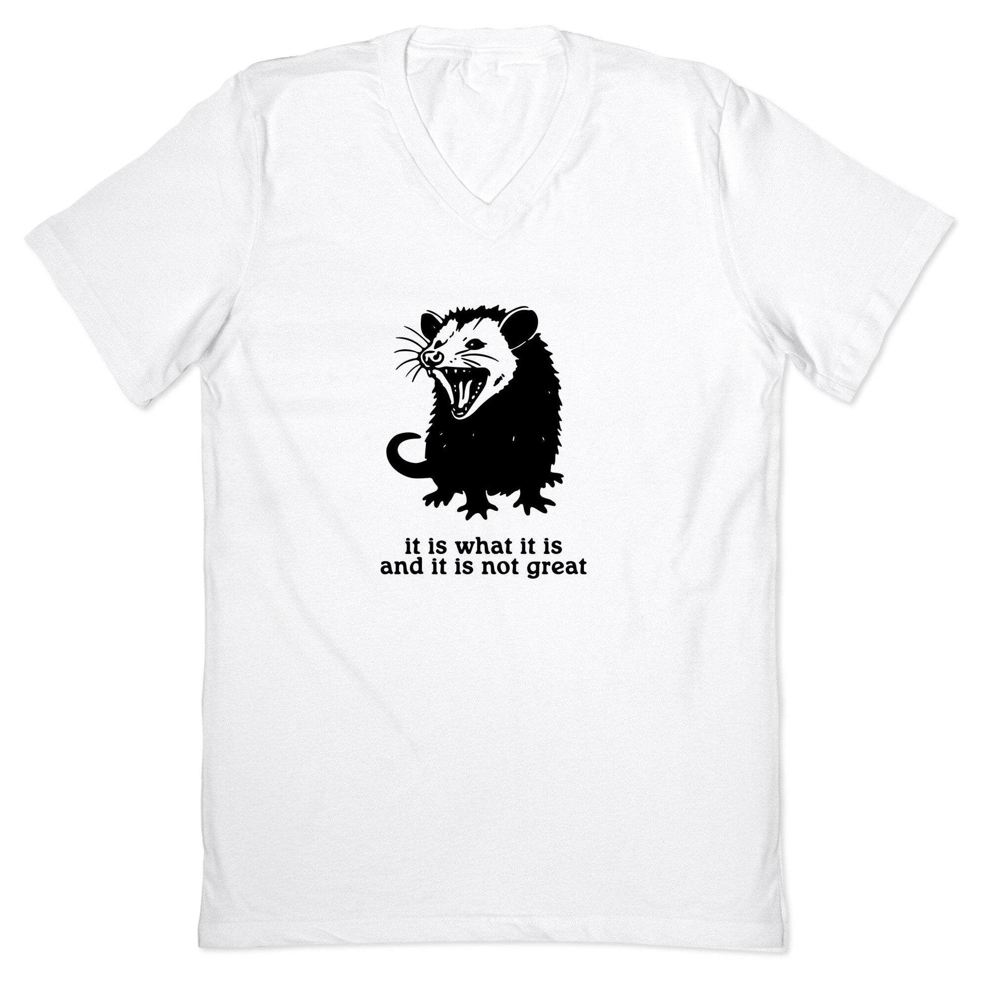 It Is What It Is V-Neck