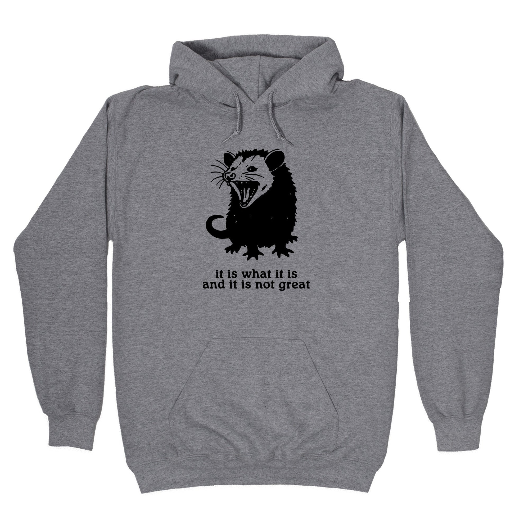 It Is What It Is Hoodie