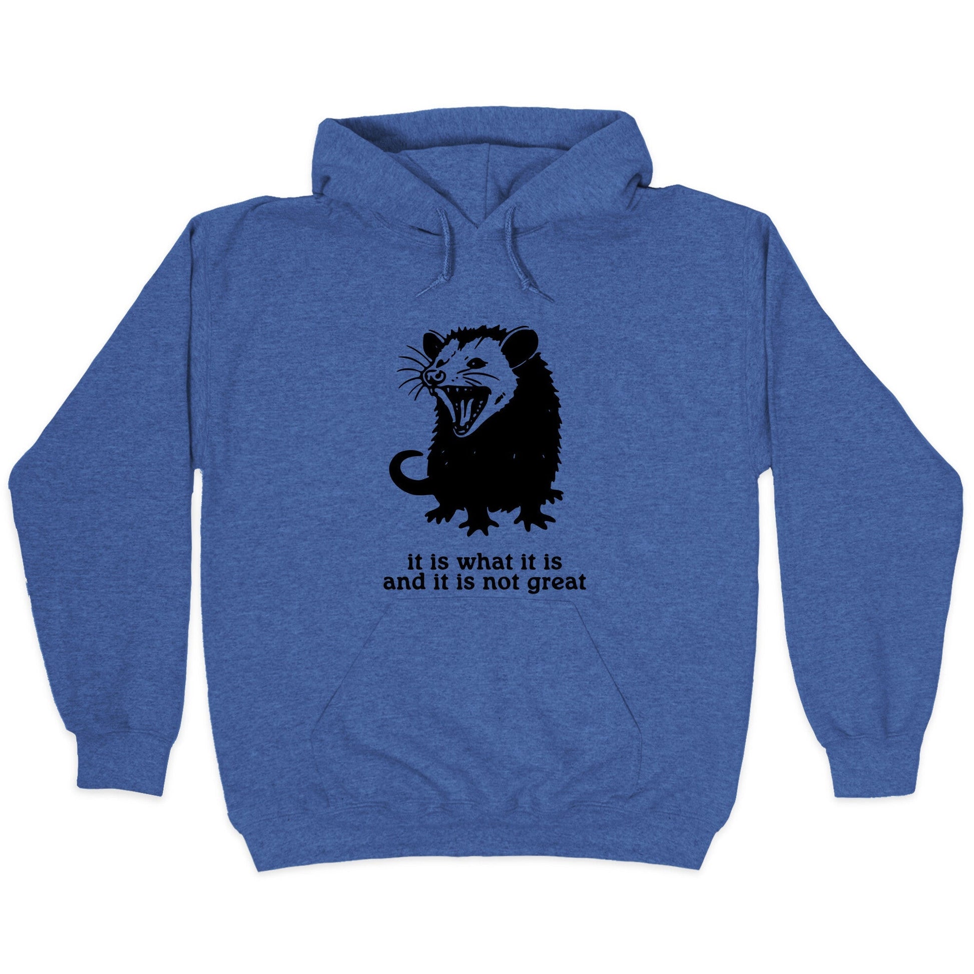 It Is What It Is Hoodie