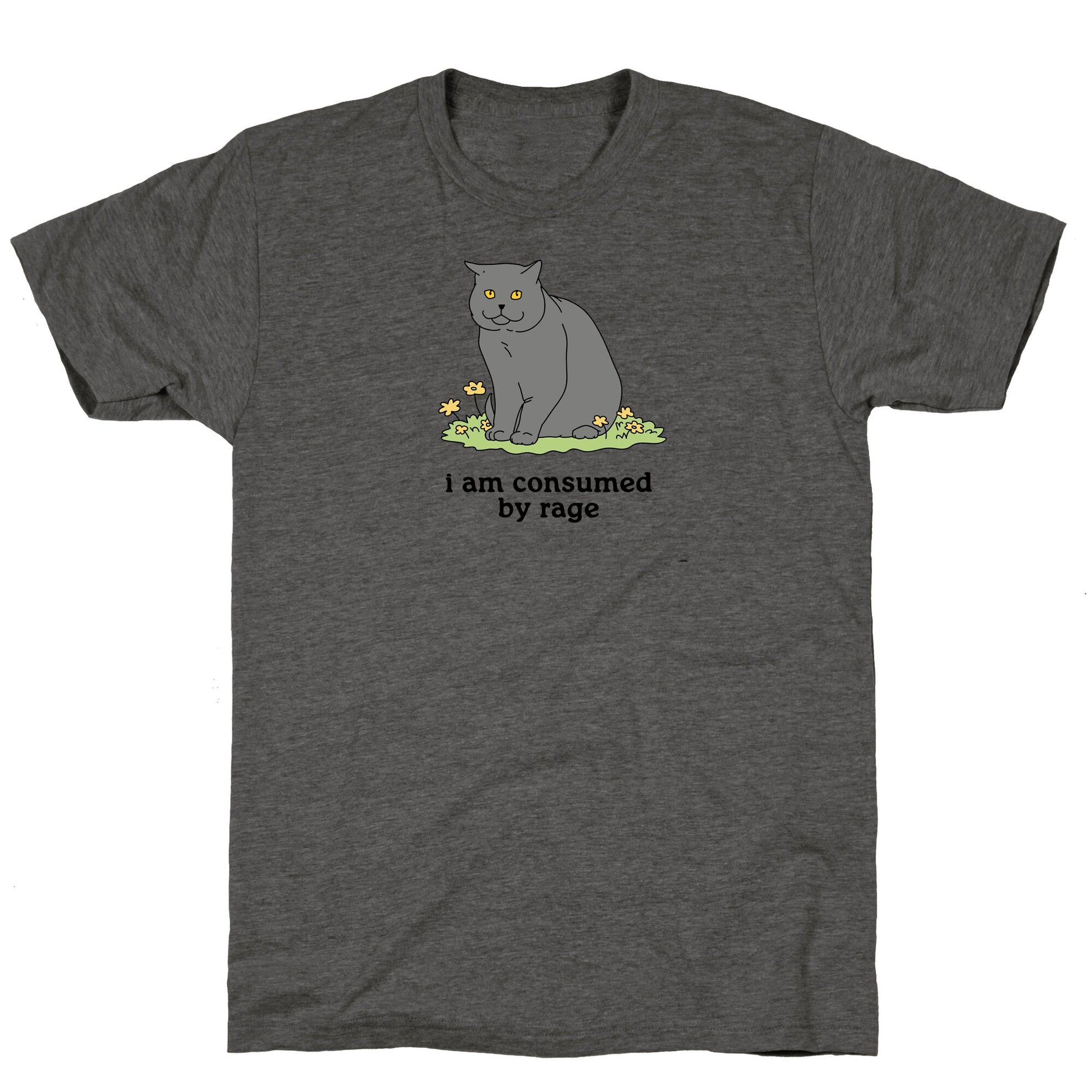 Consumed By Rage Unisex Triblend Tee