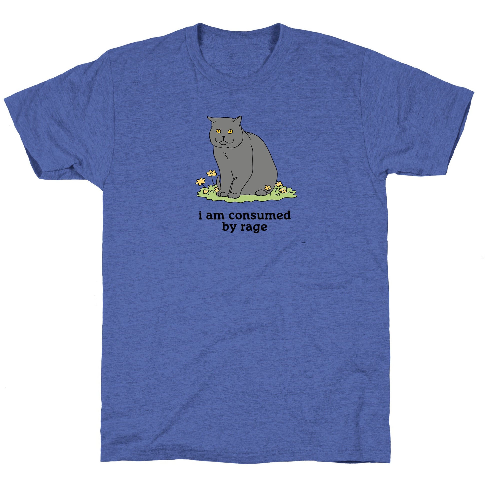 Consumed By Rage Unisex Triblend Tee